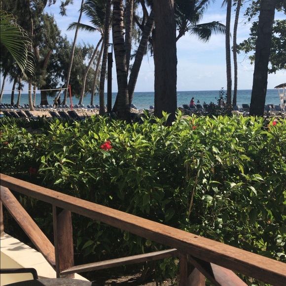 Meet your Posher, Kellianne - Picture 1 of 1